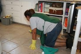 deep cleaning. we do what ever it takes to make yo