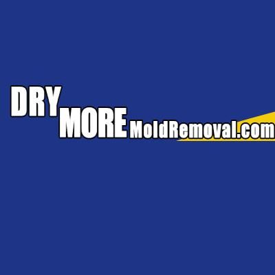 Drymore Mold Removal