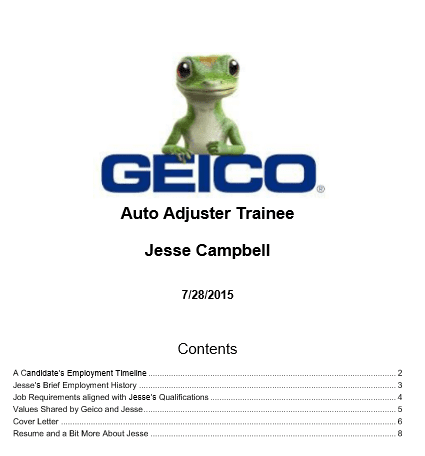 Cover page for Geico Insurance Adjuster Job