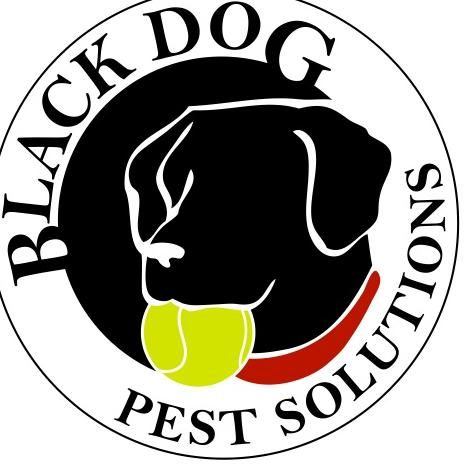 Black Dog Pest Solutions LLC