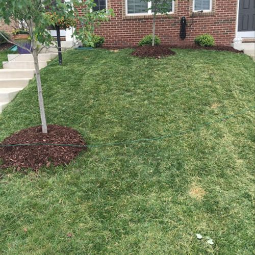 Full Service lawncare services at a townhome