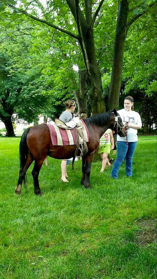 Pony rides for birthday parties either our place o