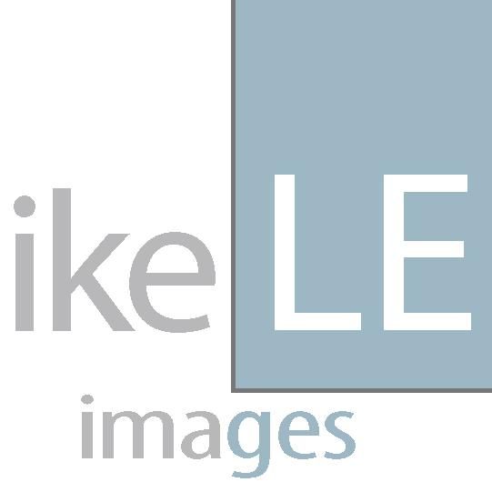 Mike Lee Images