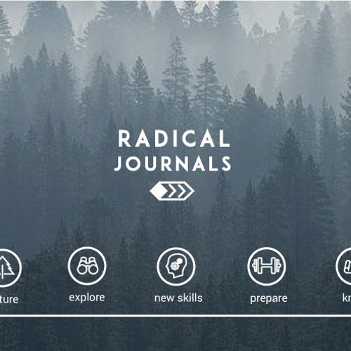 Radical Journals web design.