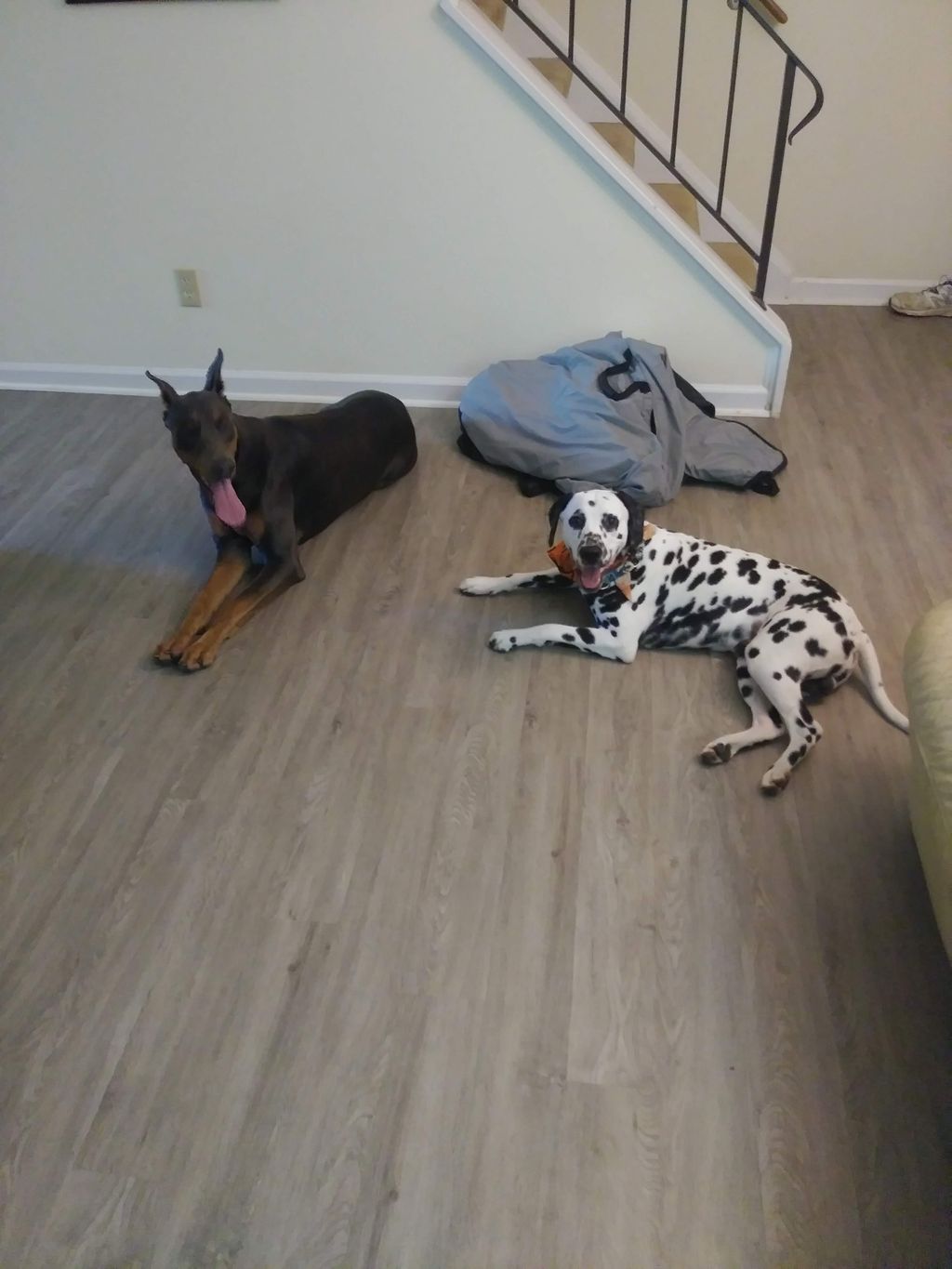 Titus and Othello