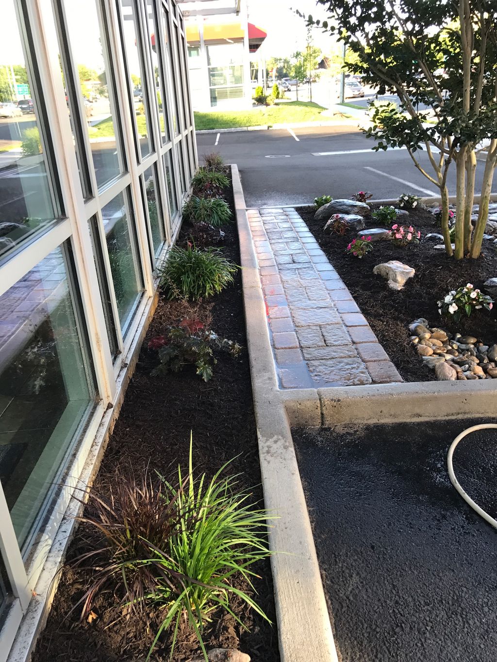Arlington - Planting - Mulching - AFTER