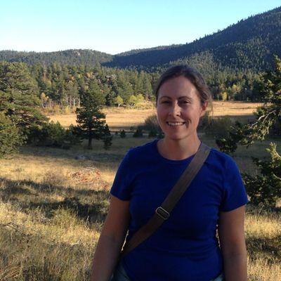 Avatar for Renewal Gardening
