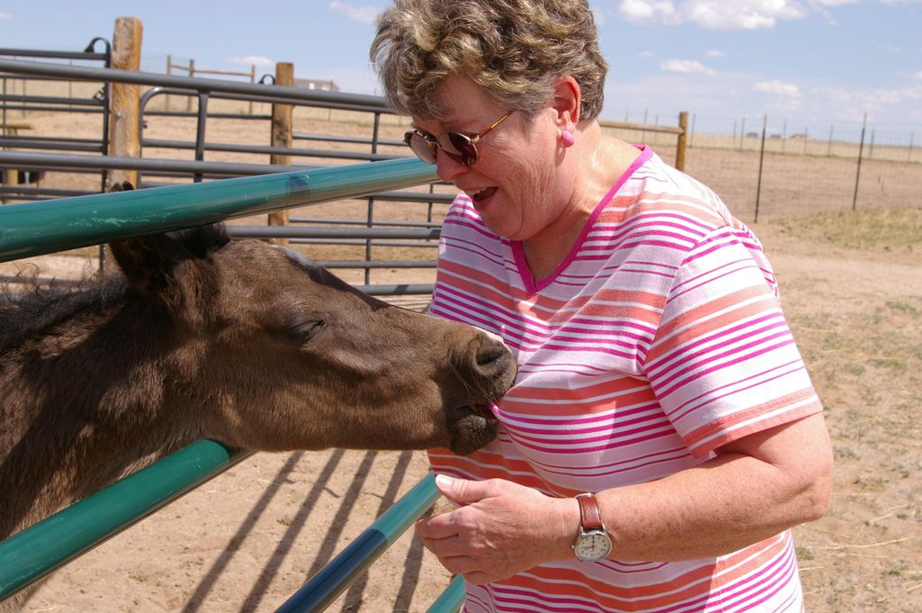 Hey, that tickles!!  We have sat for horses, ducks