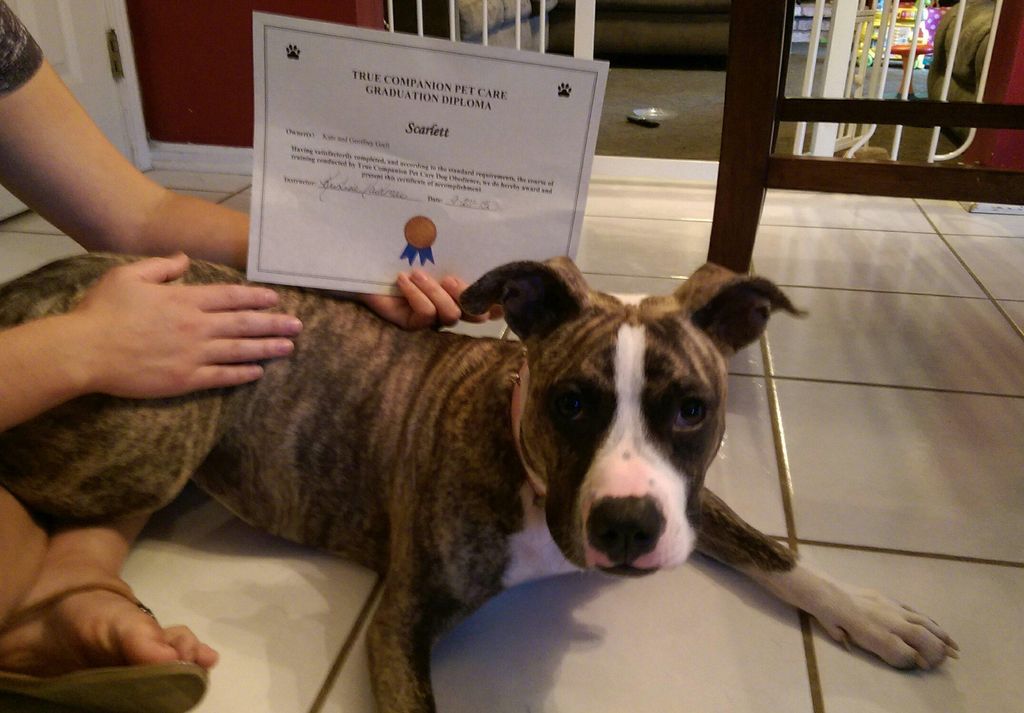 Scarlett on her graduation day