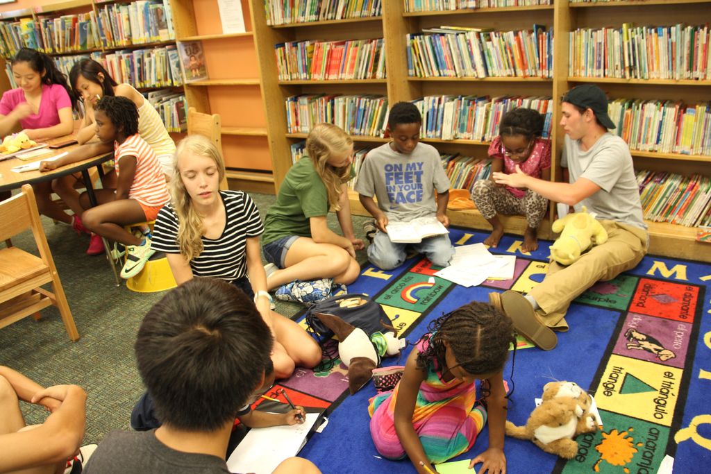 A general idea of a Ferguson Youth Tutors (FYT) se