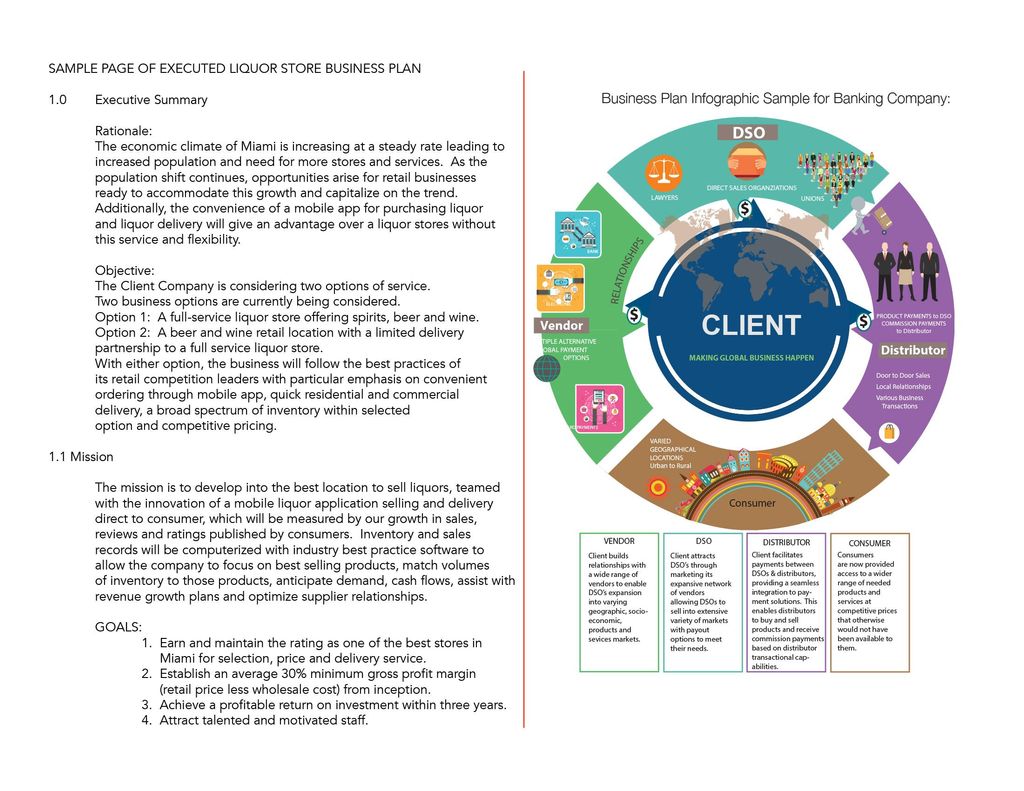 Example portion of a business plan and infographic