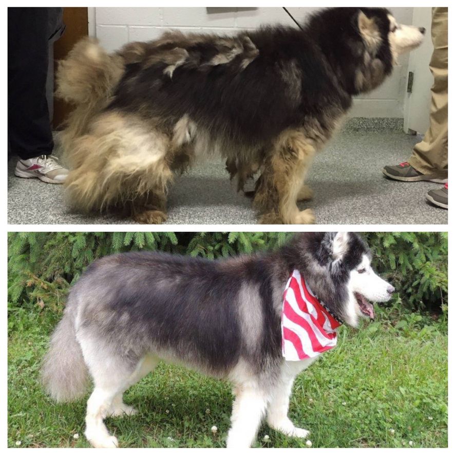 Mya; Before & After