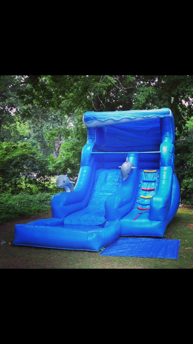 Ages 3-15: $275