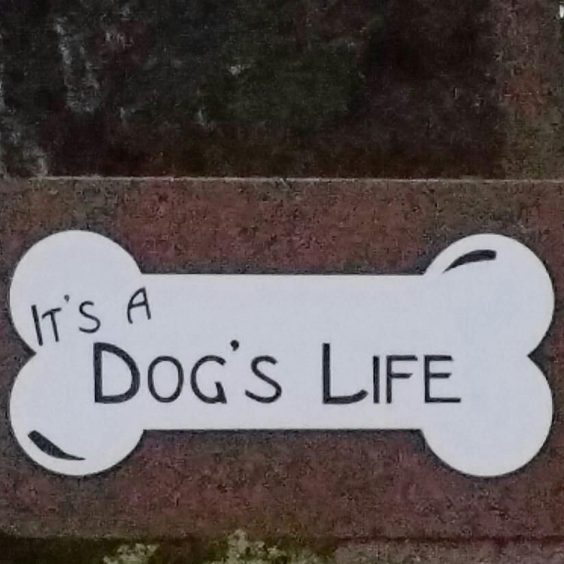 It's A Dog's Life Pet Daycare, Resort & Spa, LLC