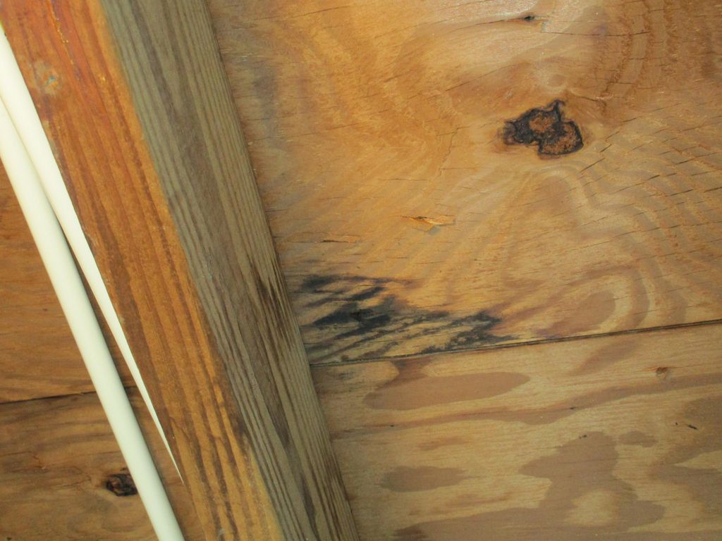 Water stains in attic