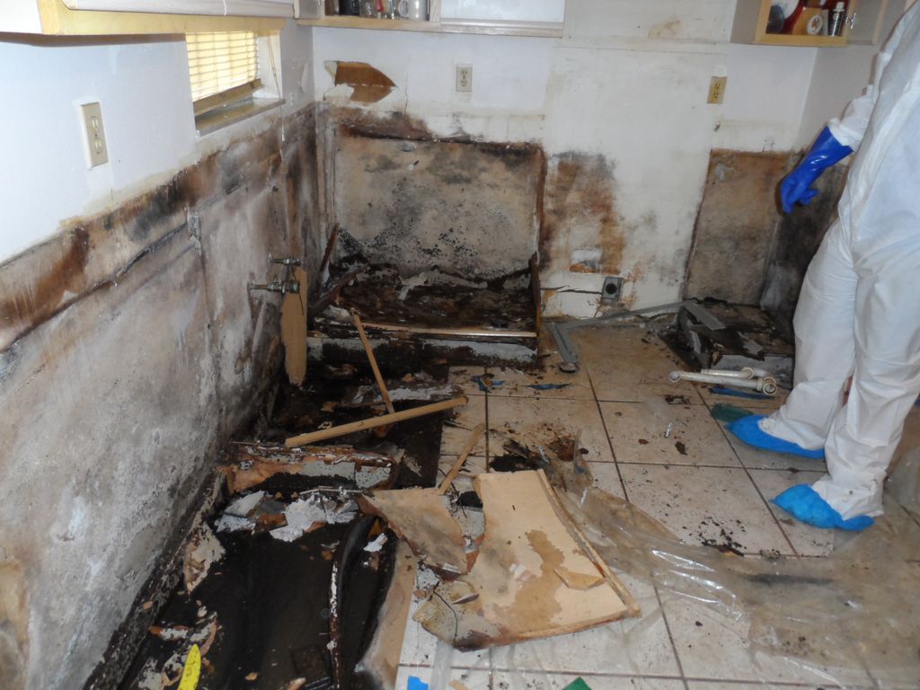 What's behind your walls and cabinets.....