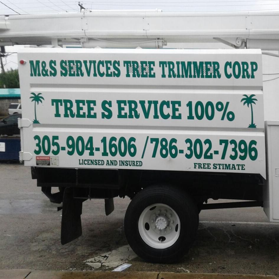 M&S service tree trimmer corp