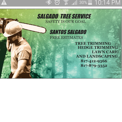 Avatar for salgado Tree Service