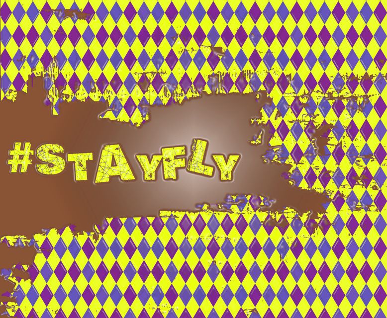 Flyral Twitter Branding