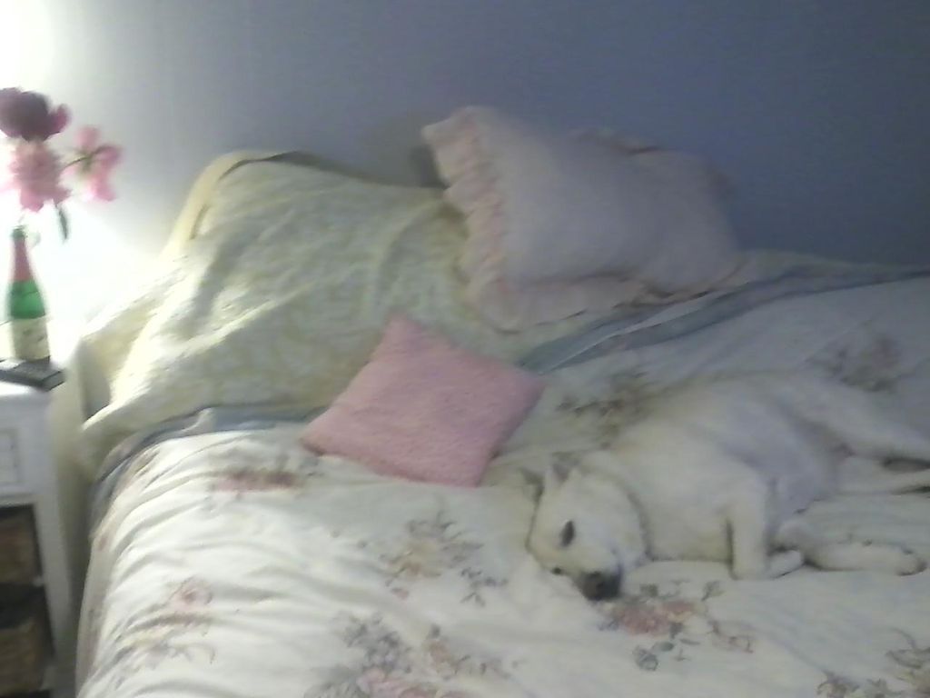 Shssss dont wake up