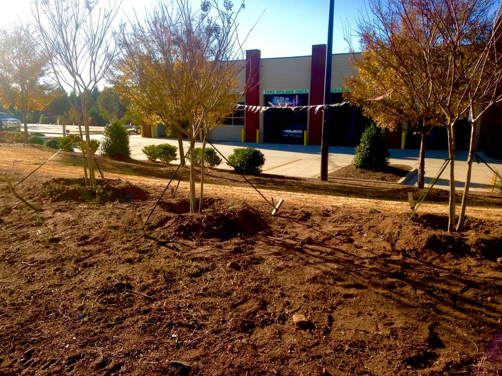 Tree installation