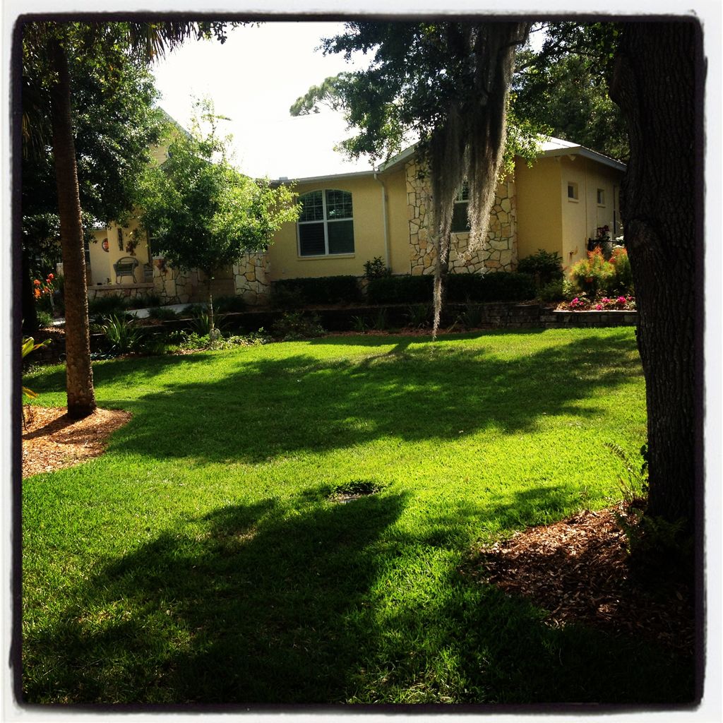 Home I mow weekly in North Fort Myers.