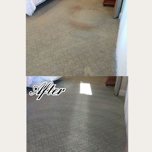 Pet stains and high traffic areas are no problem!