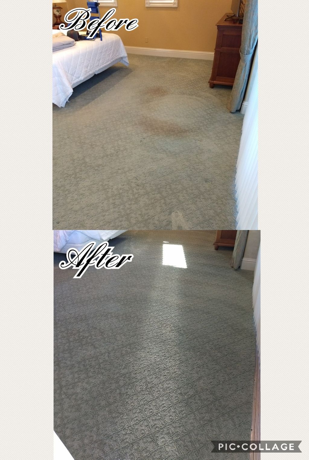 Pet stains and high traffic areas are no problem!