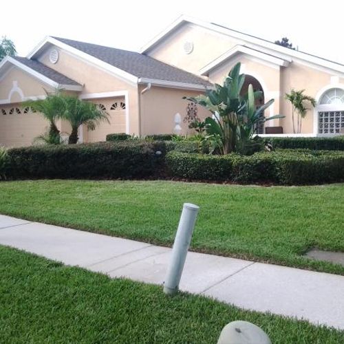 Shrubs And Lawn Maintenance