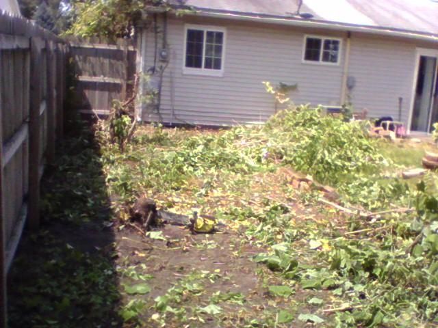 We removed over 25 ft. long 7 ft. wide of Shirley 