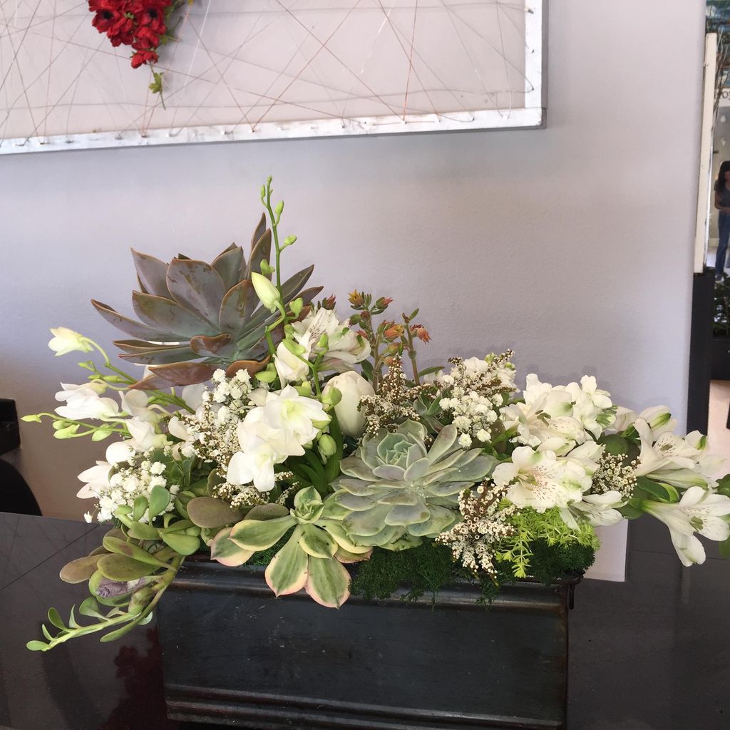 succulents and flowers