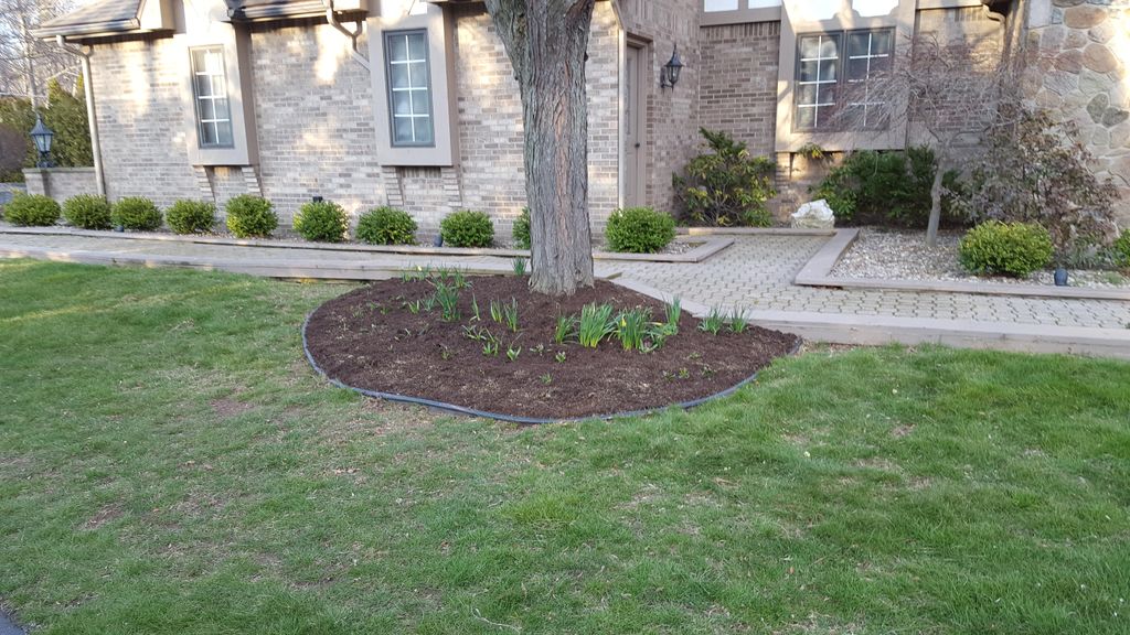 Mulching Job