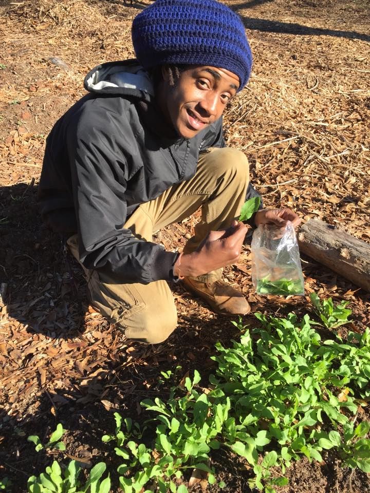 Quinton Lewis, founder of Ruach Ecad LLC