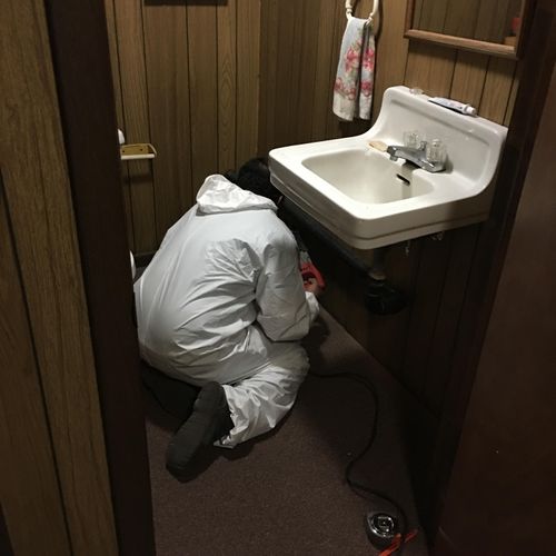 Toxic mold technician beginning testing and repair