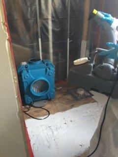 Mold Remediation - After