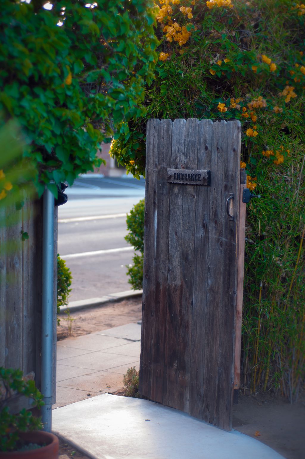 The entrance... to the garden.