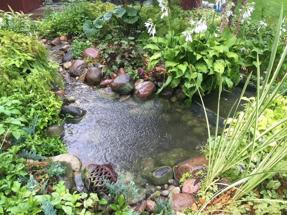 Drained and cleaned out pond, cleaned filter added