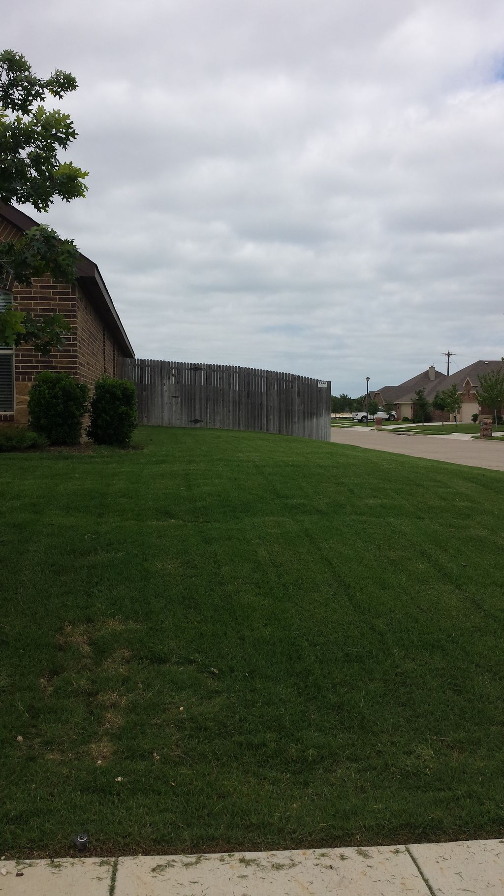 Texas Green Lawn and Landscape