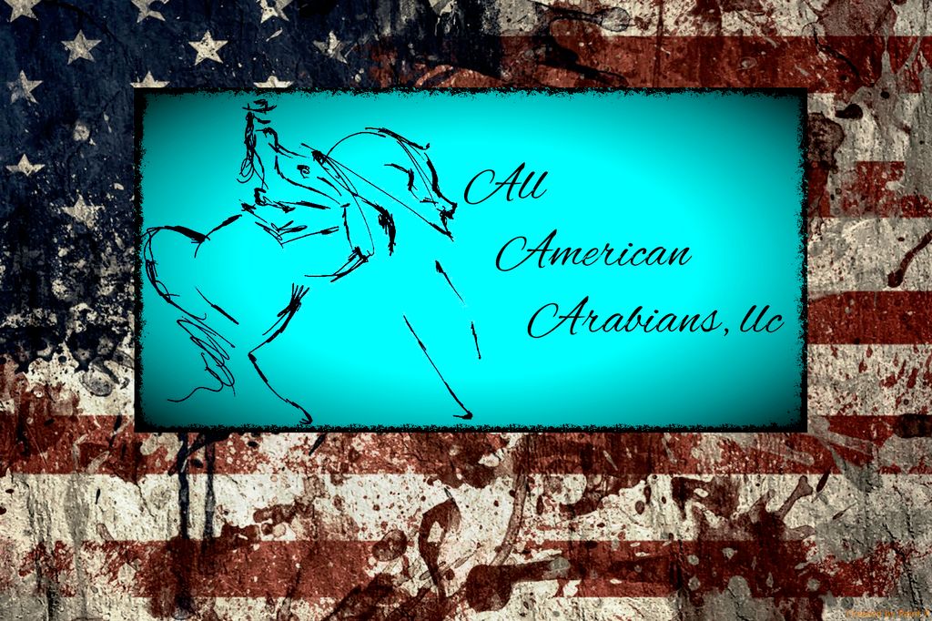All American Arabians, LLC