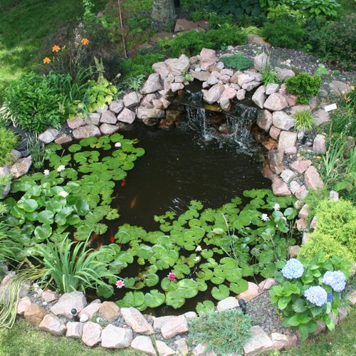 This is my personal pond the rocks are a native qu