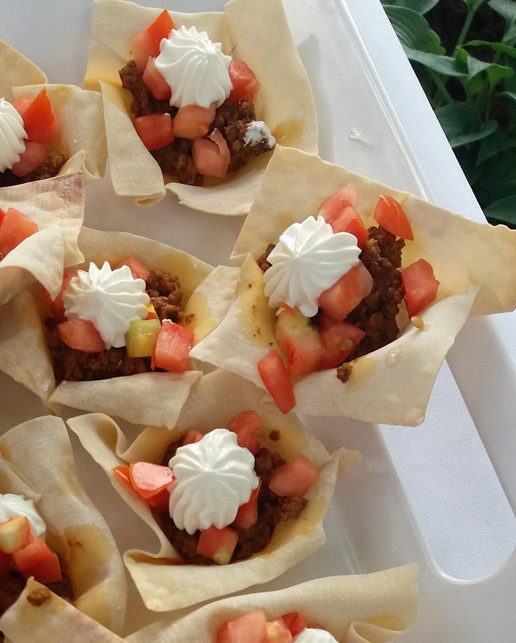 Taco Tarts: Crisp shell filled with beef taco meat