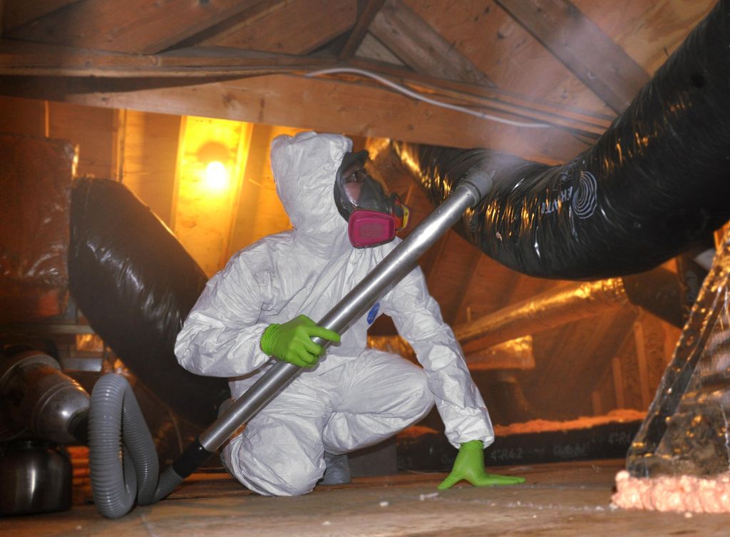 All Natural Attic Treatment