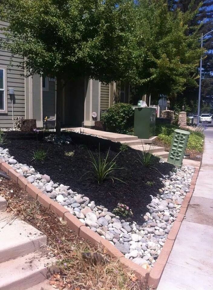 stone and bark combine