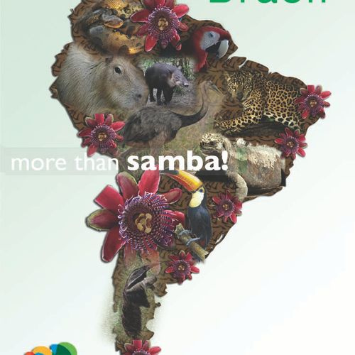 Ad for  Brazilian Travel agency Embratur.  To show