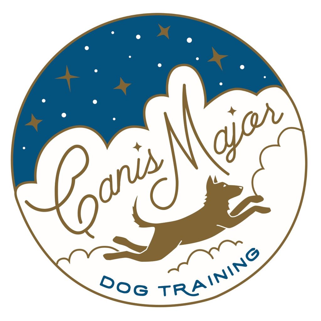 Canis Major Training
