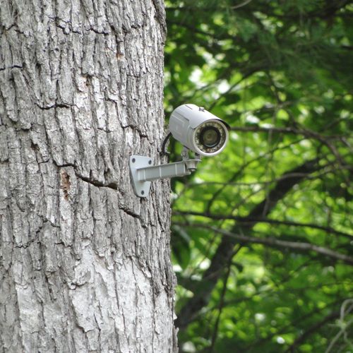 Wirepath Surveillance Camera