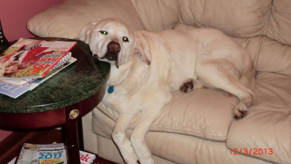 Guess I'm boring him!