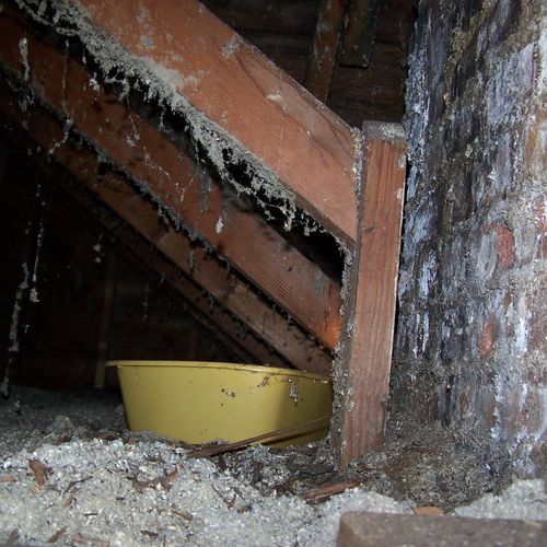 More signs of water leakage from a roof or chimney