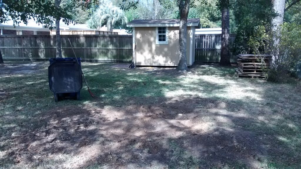 Large Stump grinding project AFTER