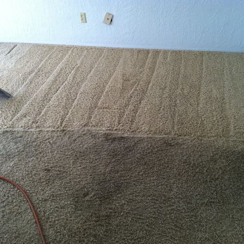 Very heavily soiled carpet.